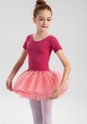 Short Sleeve Tutu Dress - St. Louis Dancewear - Dux