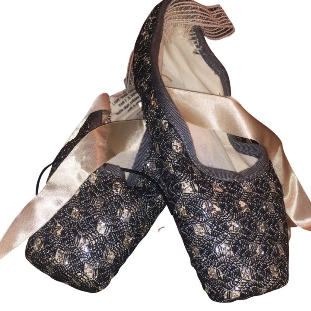 Decorative Shimmery Pointe Shoes - St. Louis Dancewear - Sansha